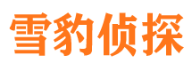 义马市私家侦探